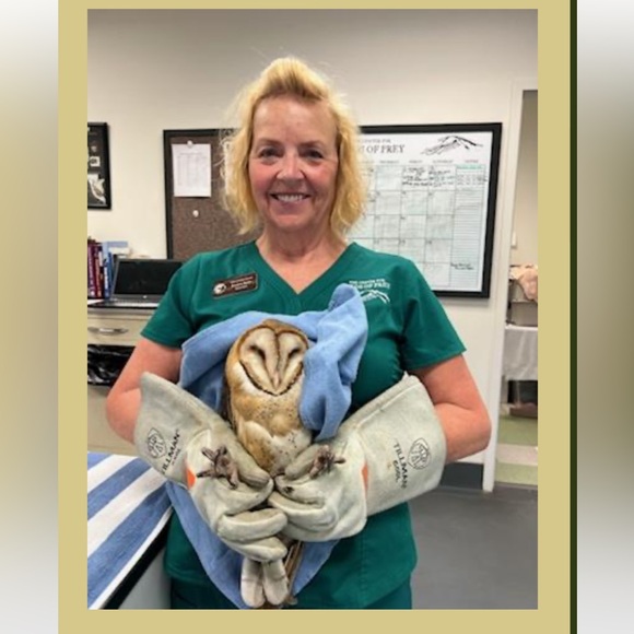 Meet your Posher, Nancy - Picture 3 of 10